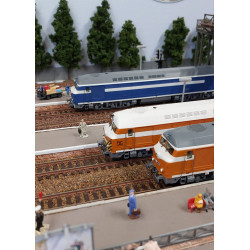 25-01-G004 - CC 80001 - Desquenne & Giral - Orange/White - White Roof - DCC/Son